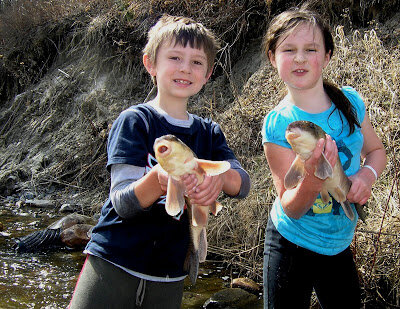 Hayden+and+Seanna+with+a+couple+of+sucker+fish+caught+by+hand+nungesser+lake,+www.anglerskingdom.com.jpg