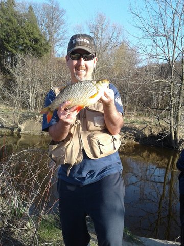 Giant Golden Shiner? I sure hope so - General Discussion - Ontario
