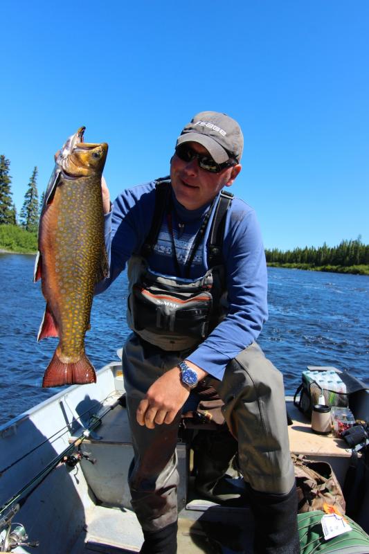 Brook Trout Of The Taiga - Exploring The Asheweig River - General  Discussion - Ontario Fishing Community Home