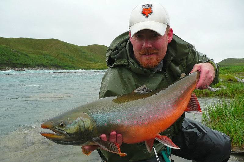 Tree River: World Class Arctic Char Fishing