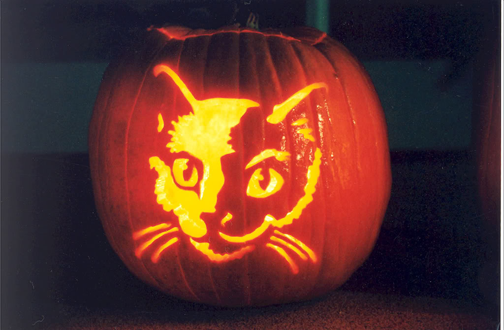 PumpkinCarving-Cat.jpg