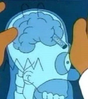 Image result for homer with crayon in the brain
