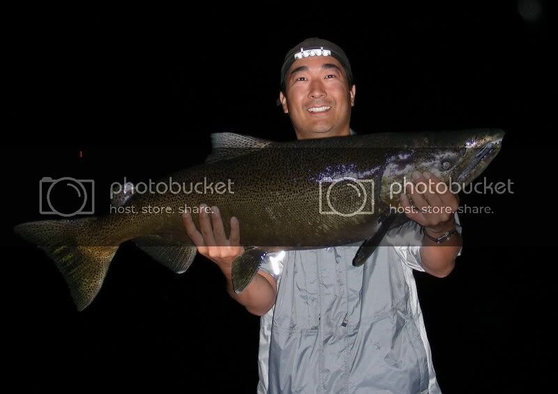 chinookmale40inches22lbs3oz.jpg