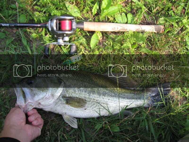 fishing09-10161.jpg