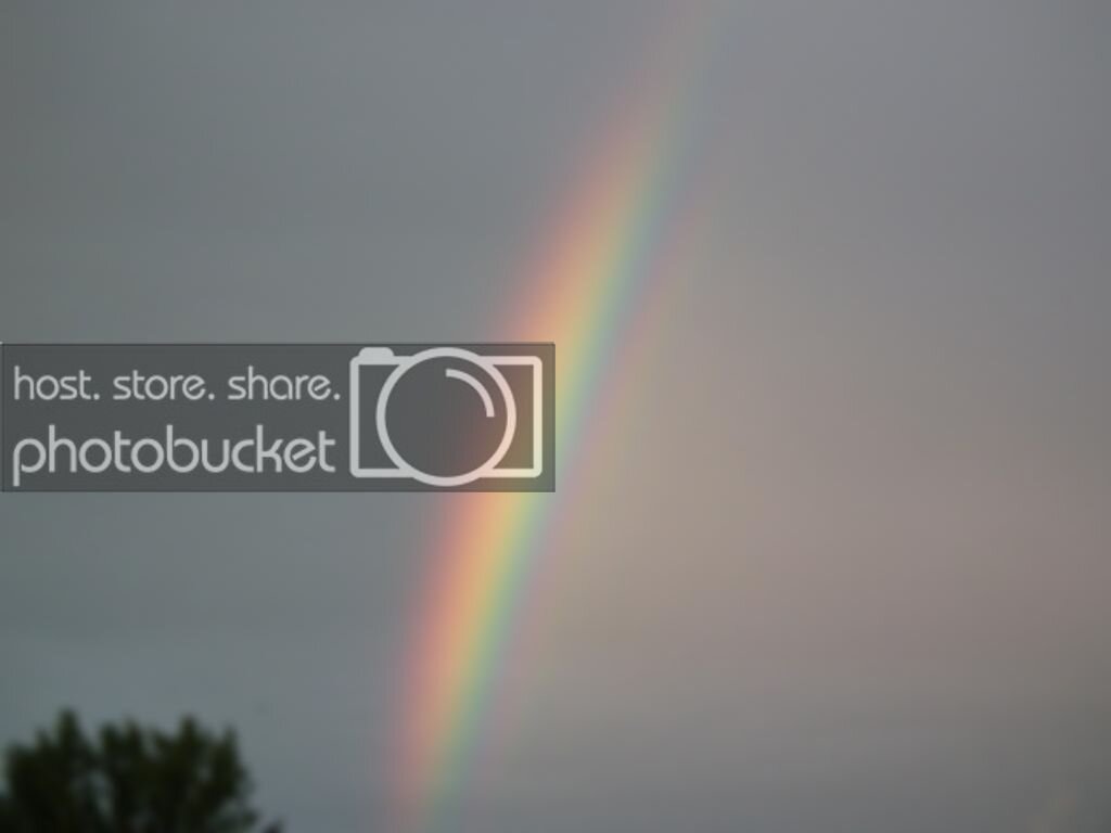 rainbows012_zpsc9bb4863.jpg