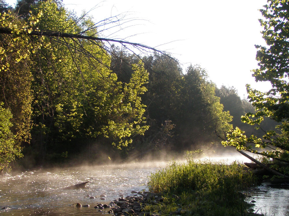 river-2-misty.jpg