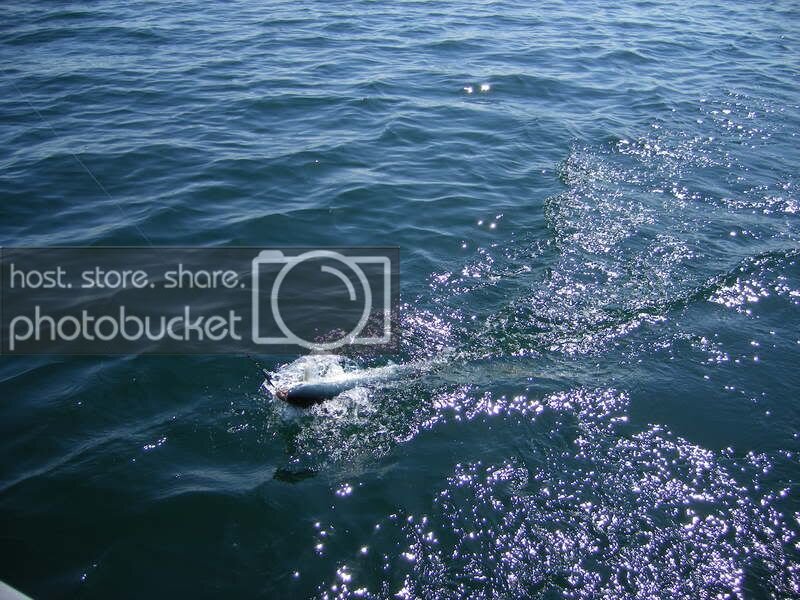 salmonfishingpics019.jpg