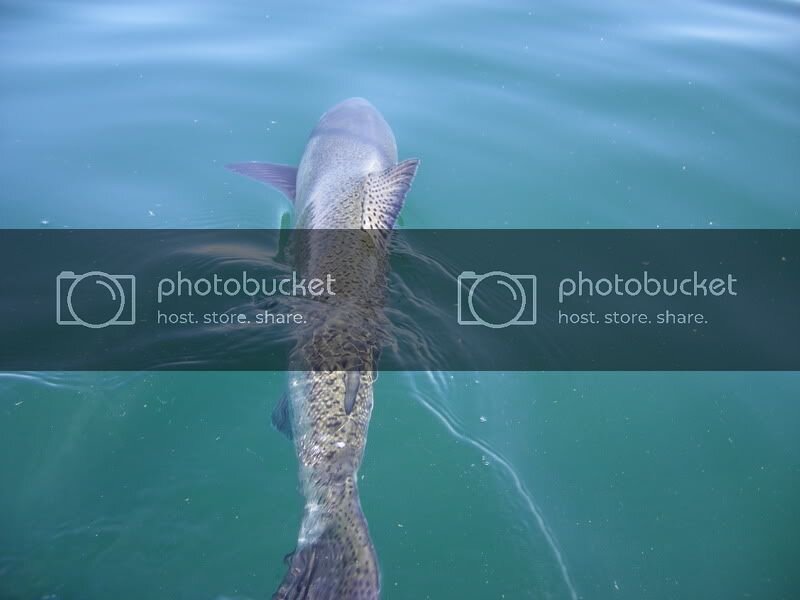 salmonfishingpics046.jpg