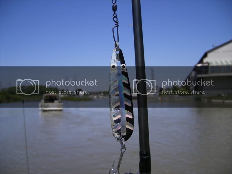 salmonfishingpics053-1.jpg