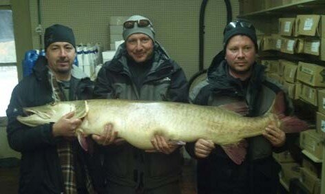 state-record-great-lakes-musky-oct-2012-472x282.jpg