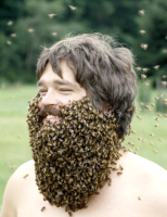 beekeeper.jpeg.gif