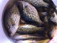 JeremyLo March Crappie Pic.jpg