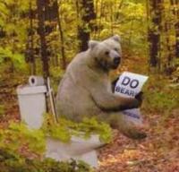 bear_on_toilet-12463.jpg