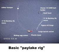 Basic Paylake Rig.jpg