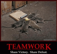 100_teamwork-mice.gif
