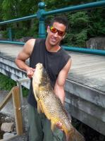 daves carp from the river.jpg