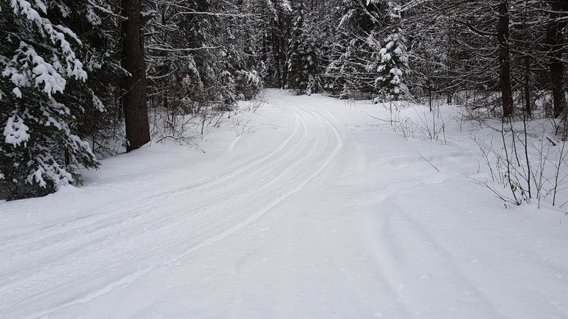 a trail snow.jpg