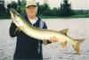 Chris_Sommerville_47_Incher_with_Lamprey_Ottawa_River.jpg