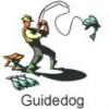 Guidedog